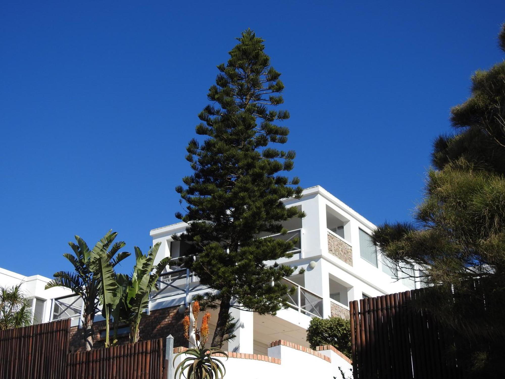 Surfstar At Mimosa Jeffreys Bay Apartment Bagian luar foto